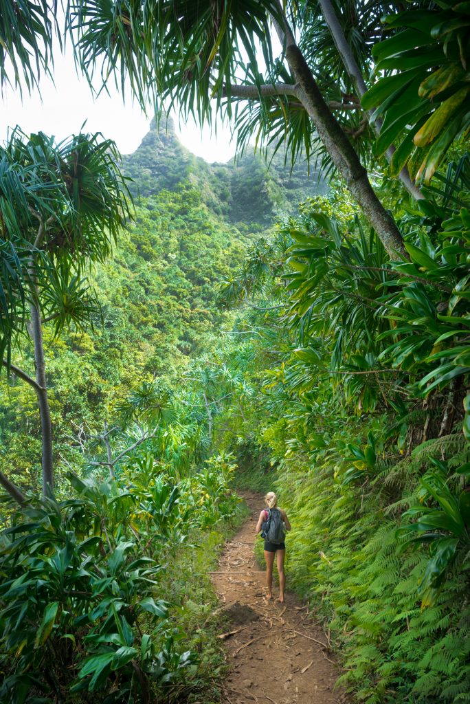 Hiker enjoying Haena State Park trail